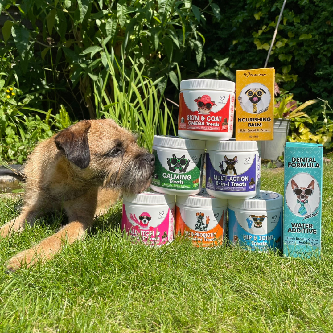 Nutri Paw Facebook ad