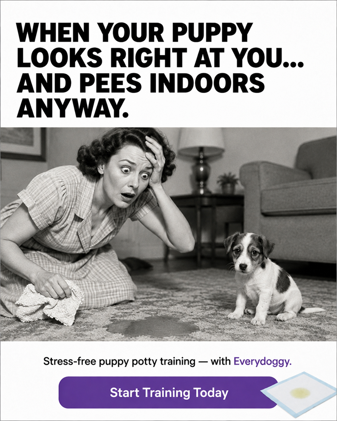 Puppy Tips for Training Facebook ad
