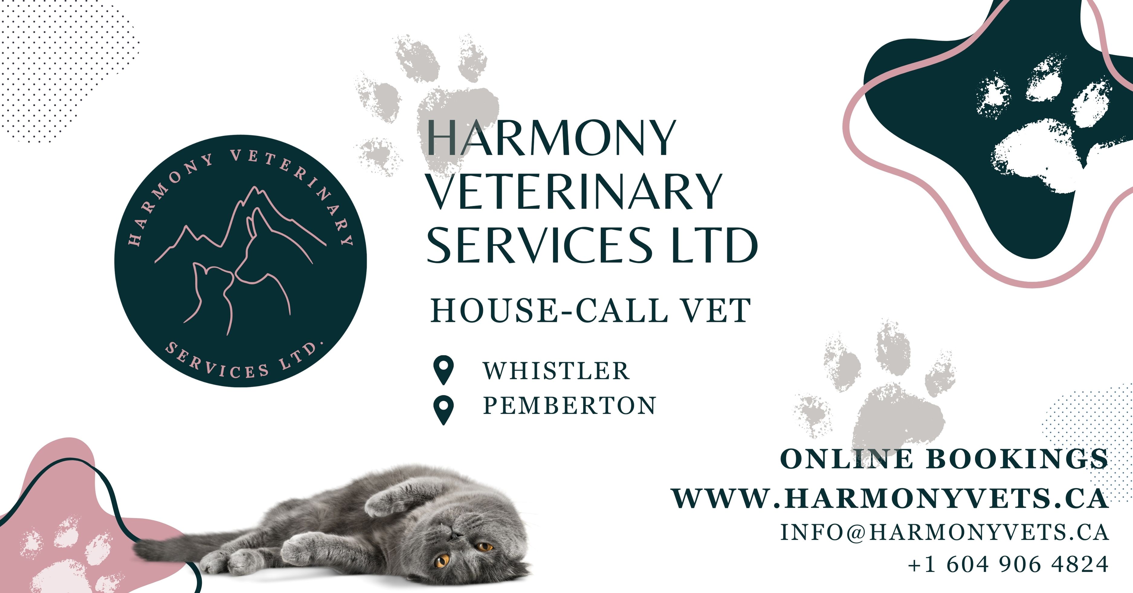 Harmony Veterinary Services LTD Facebook ad: House-call Vet