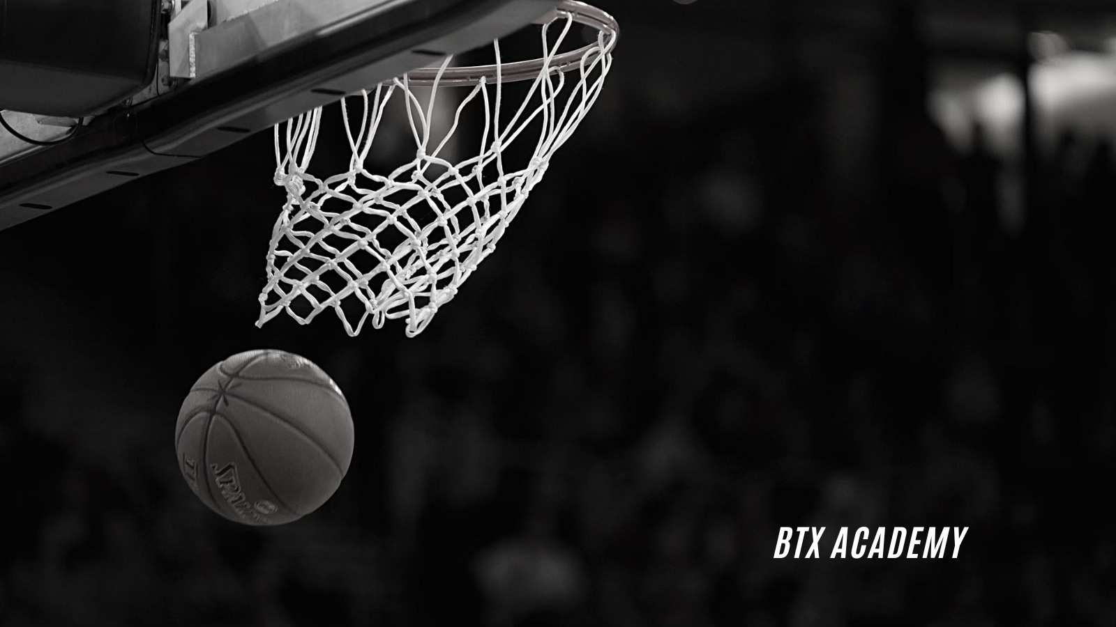 BTX Elite Academy Facebook ad: Basketball Training