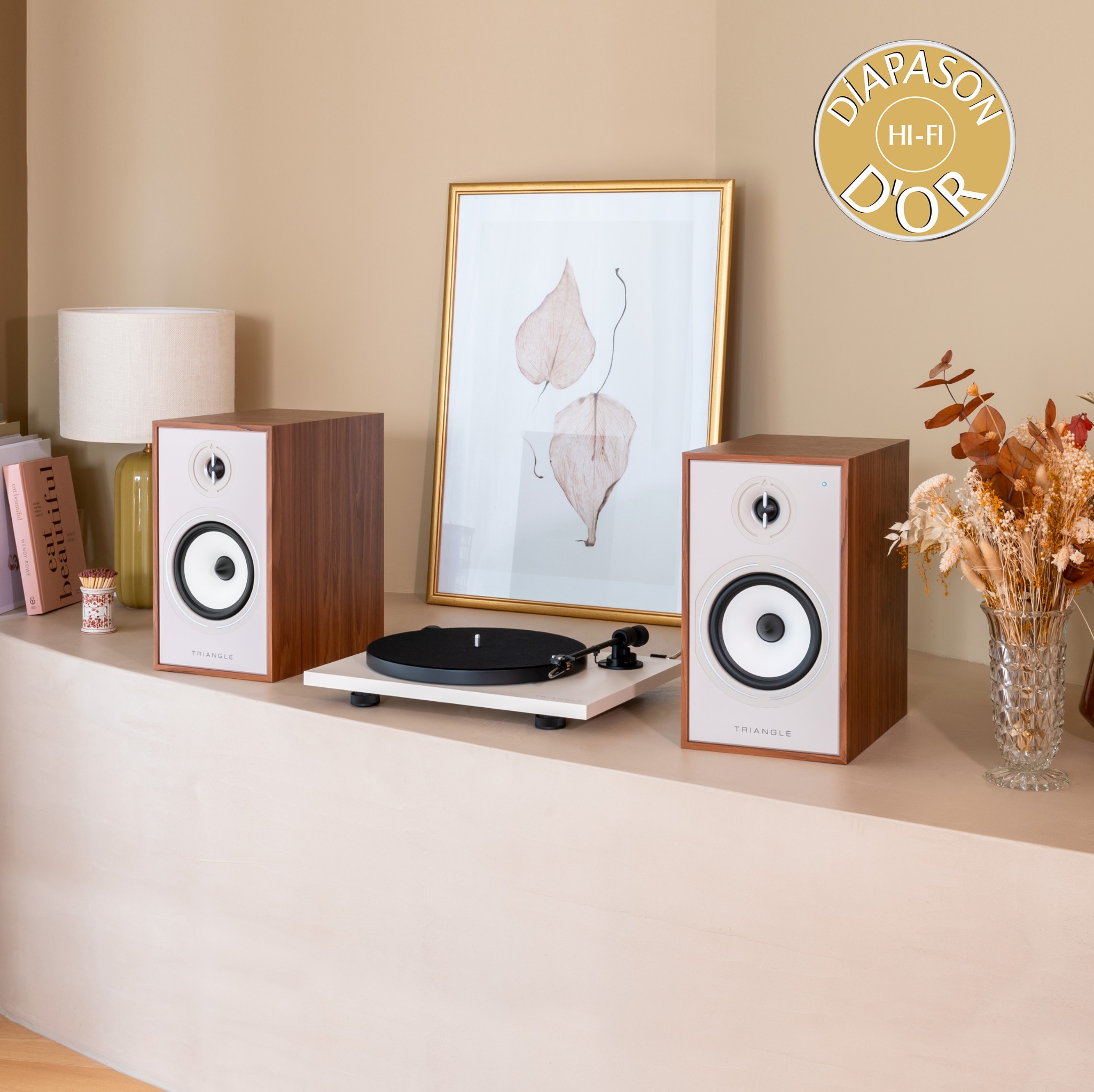 Triangle Hifi Facebook ad