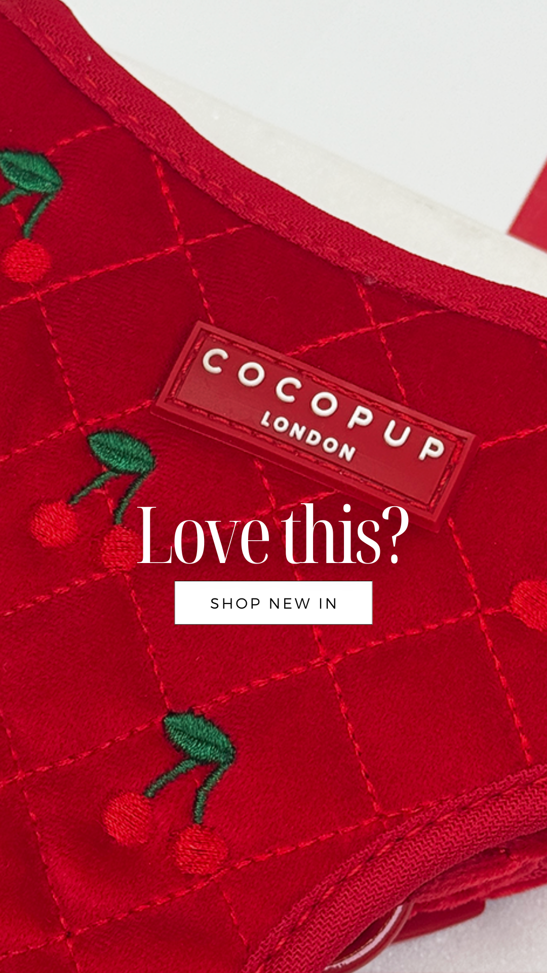 Cocopupuk Facebook ad