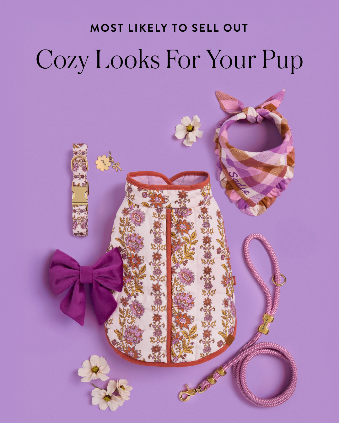 The Foggy Dog Facebook ad
