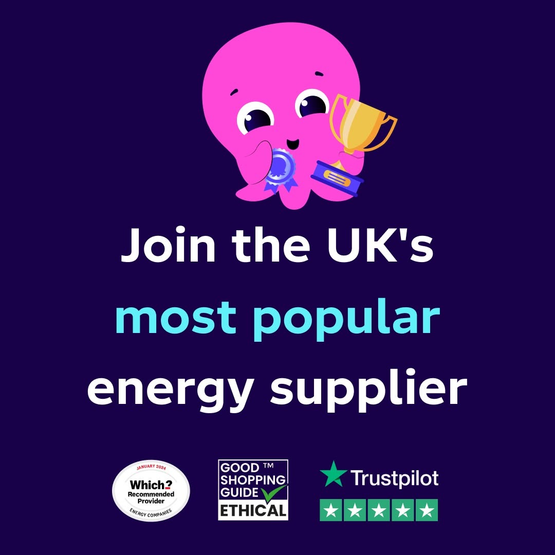 Octopus Energy Facebook ad