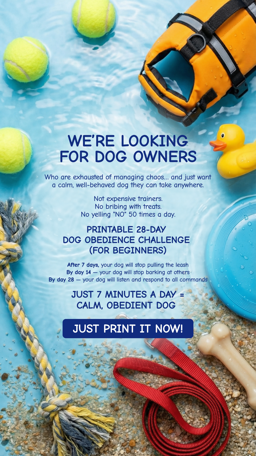 28 Day Dog Obedience Challenge Facebook ad