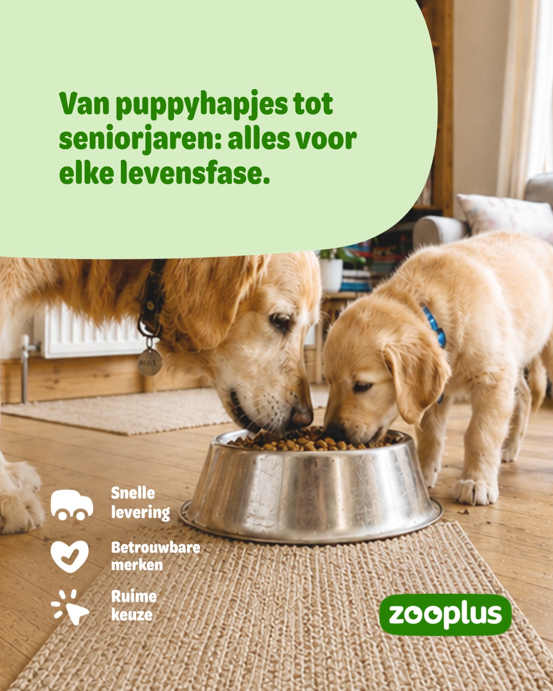 zooplus Facebook ad