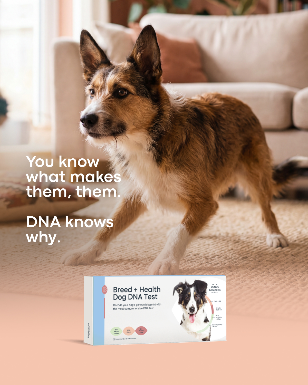 Basepaws Facebook ad from May 8, 2026