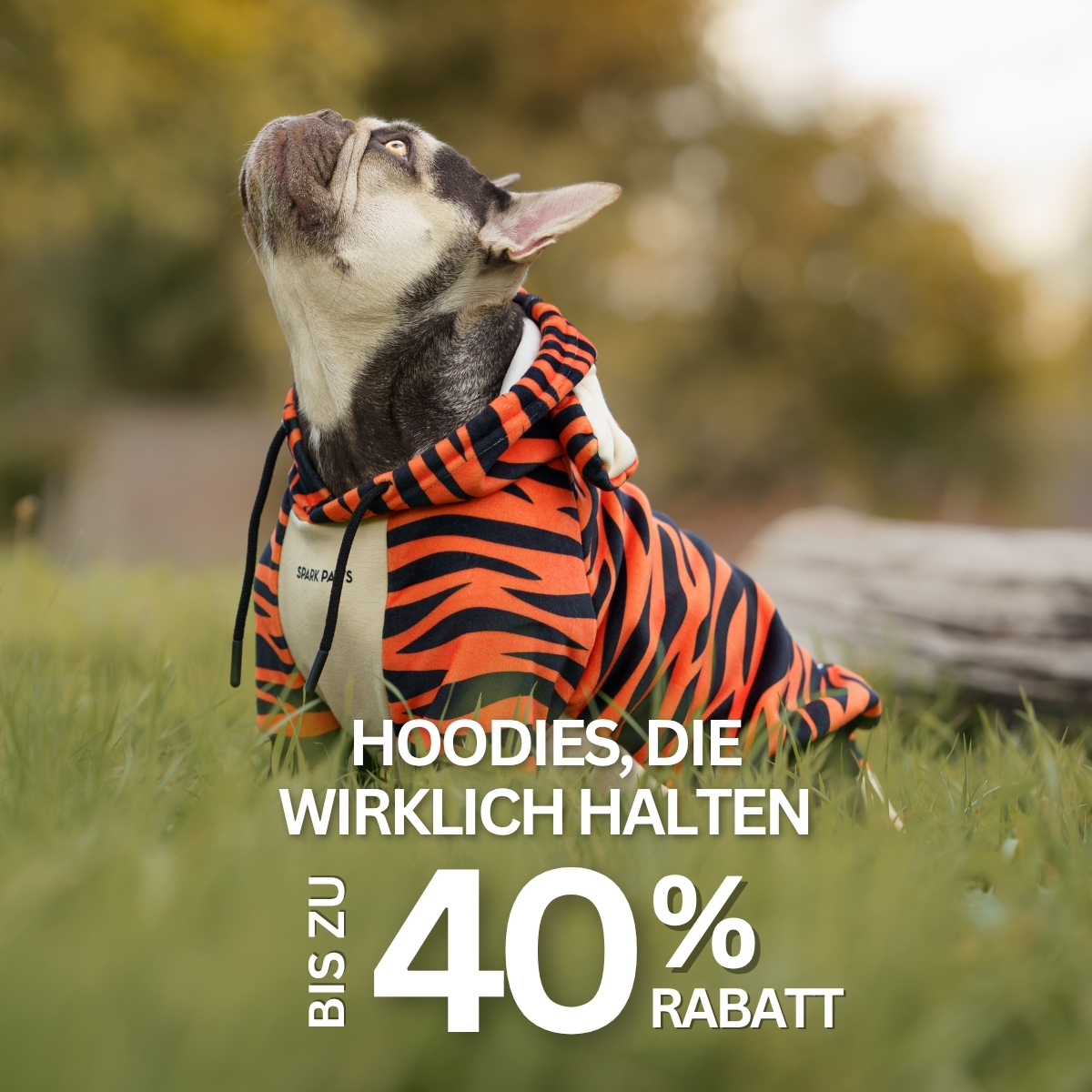 Spark Paws Facebook ad