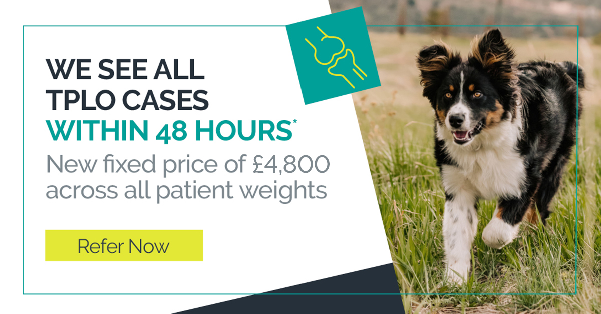 Southfields Veterinary Specialists Facebook ad