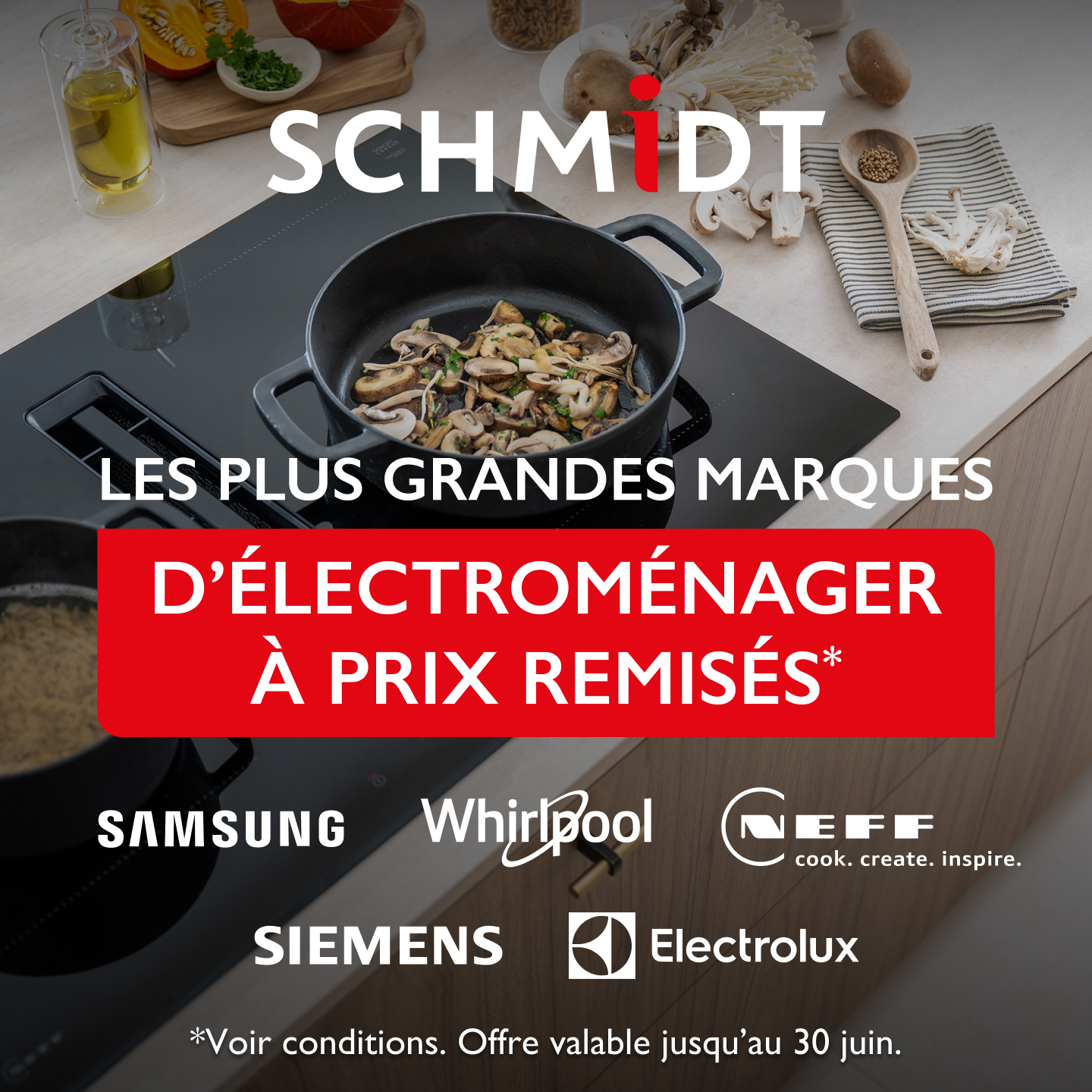 Schmidt Facebook ad