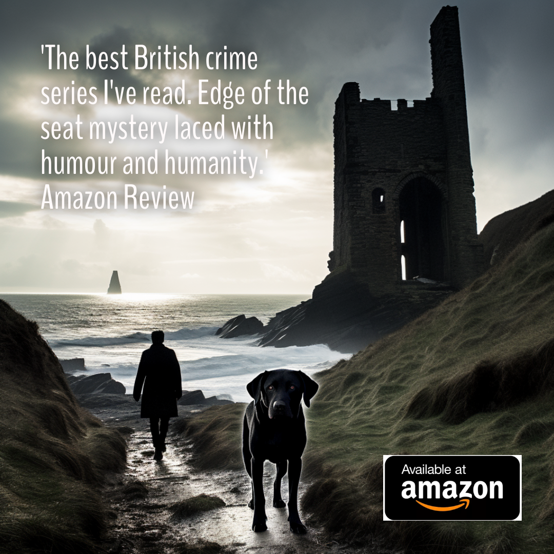 Rhys Dylan Books Facebook ad