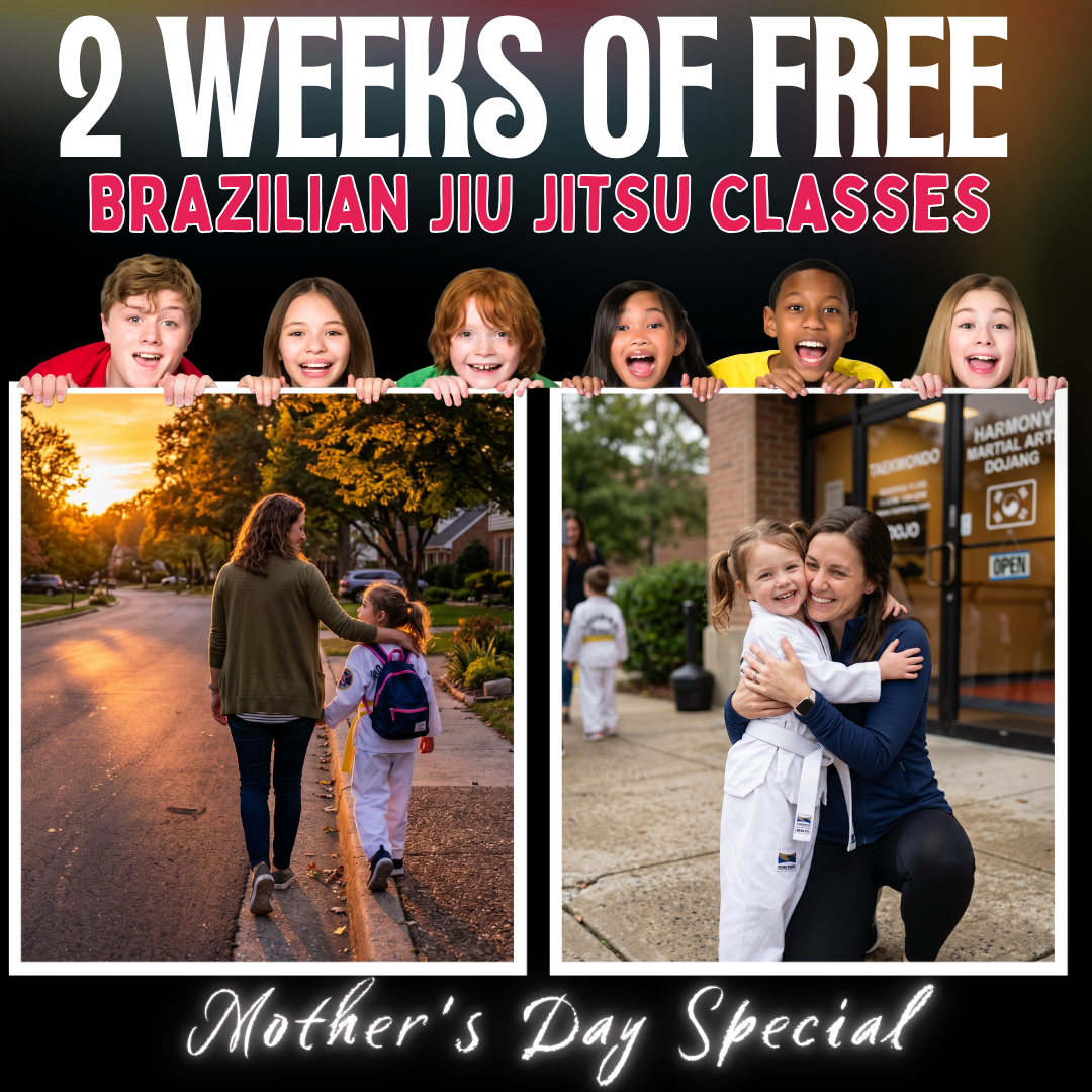 LX Jiu-Jitsu & Self Defense - Sugar Land, TX Facebook ad