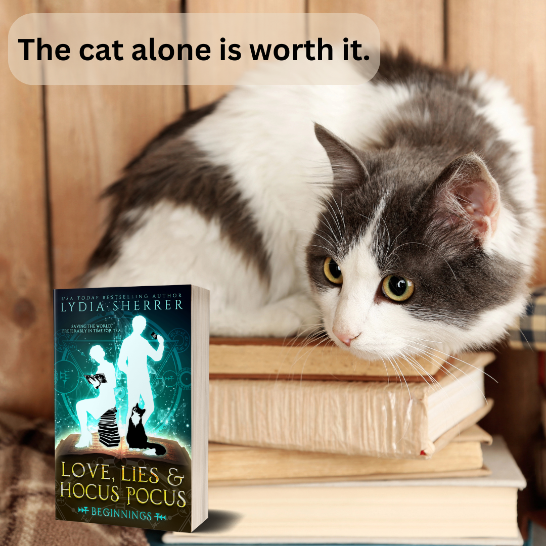 Lydia Sherrer Facebook ad: The talking cat alone is worth it.