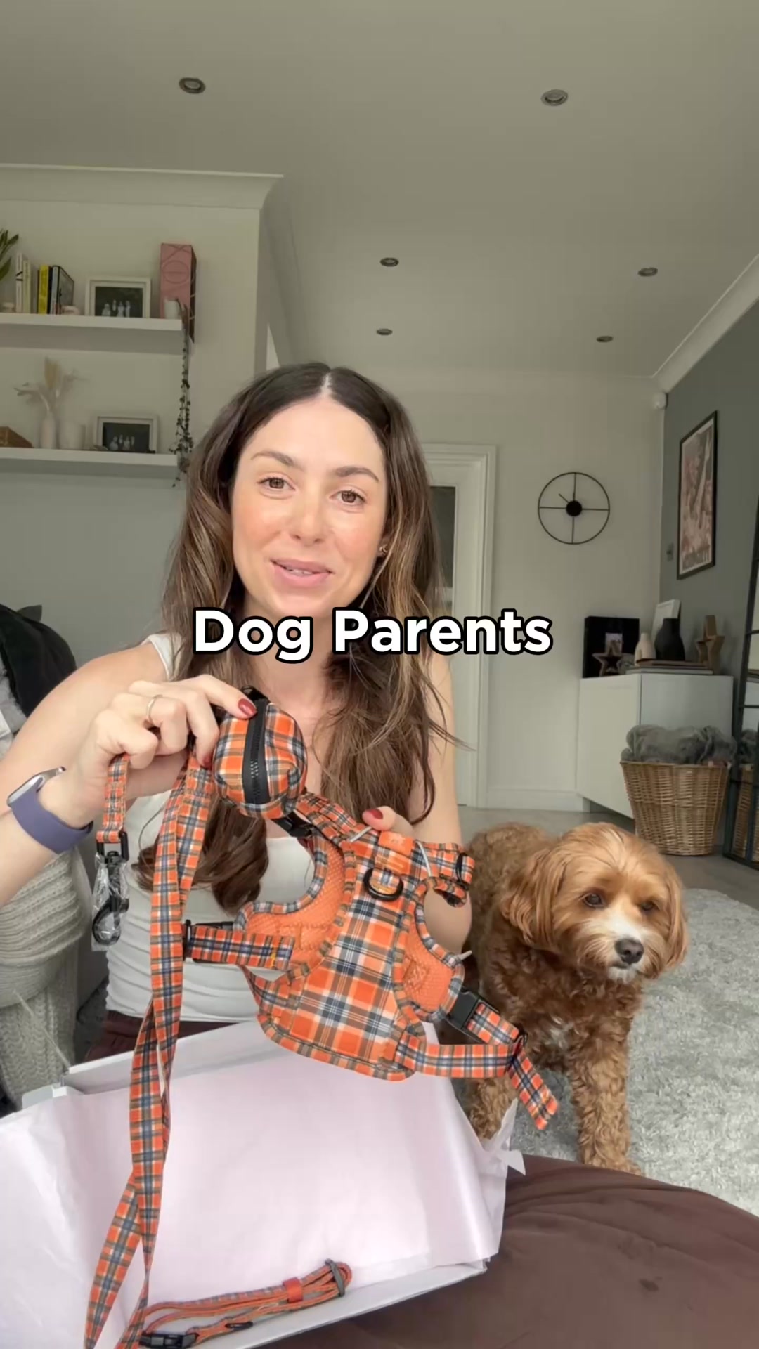 Paw Couture Facebook ad from Jul 19, 2026