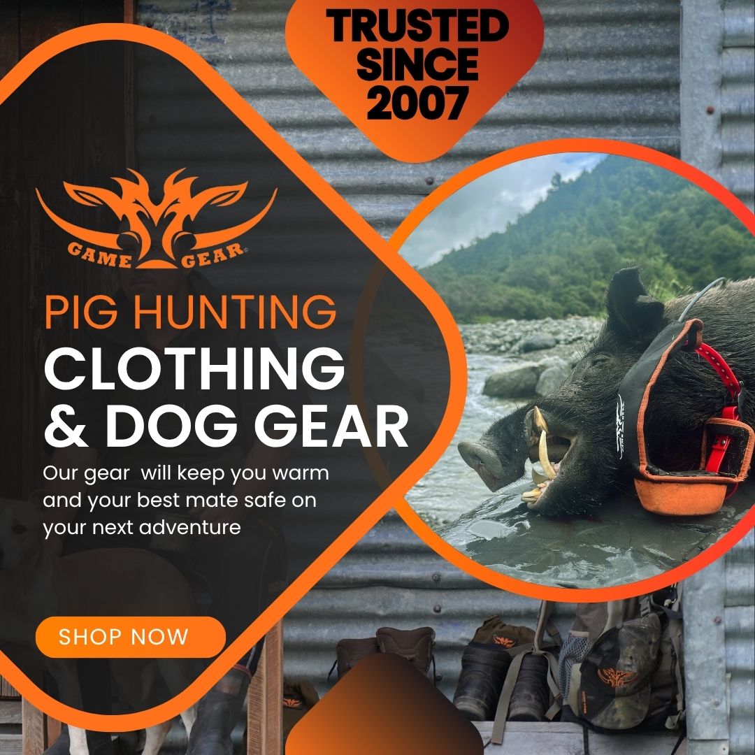 Game Gear Facebook ad