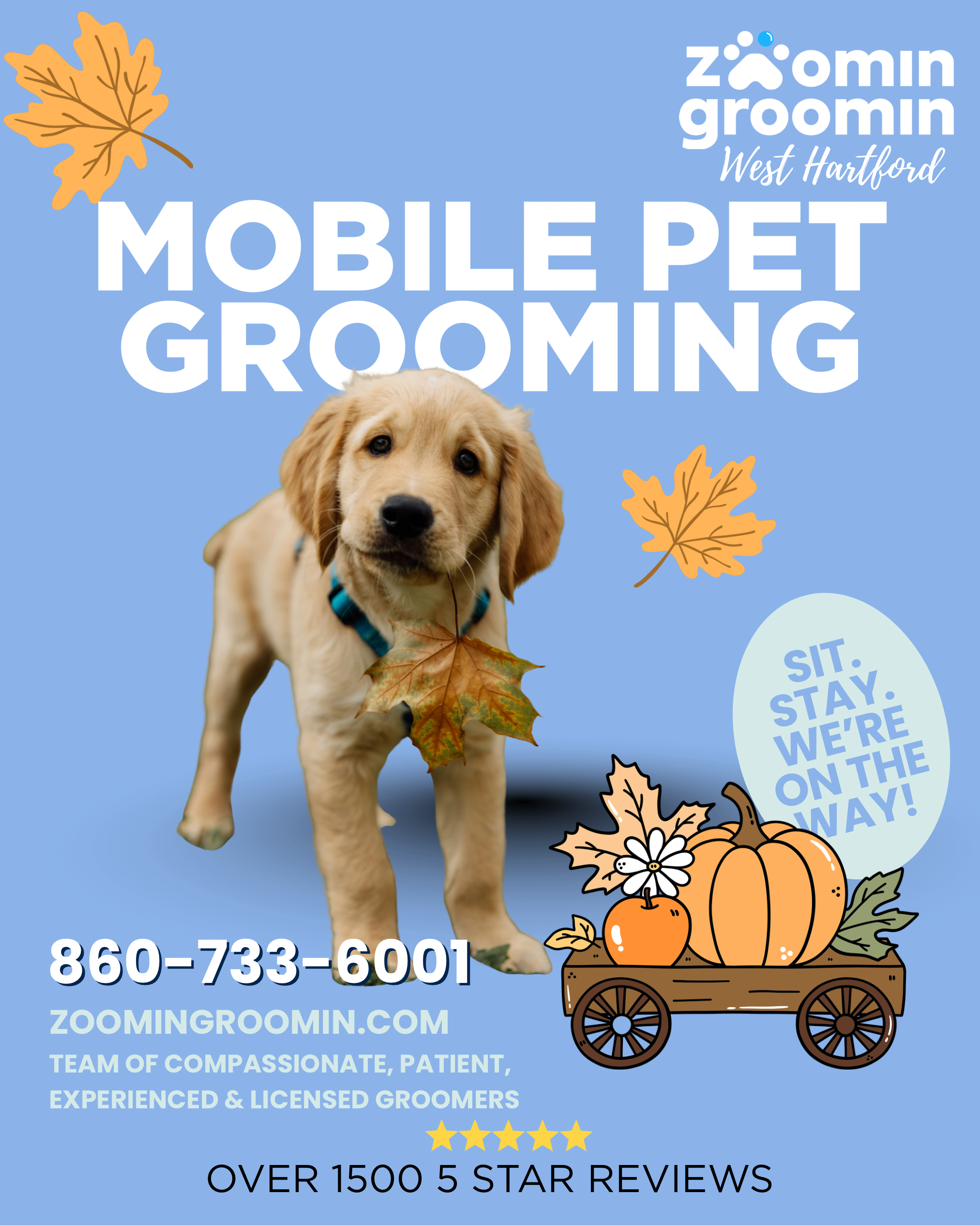 Zoomin Groomin - West Hartford, CT Facebook ad: Mobile Pet Grooming in West Hartford, CT | Zoomin Groomin