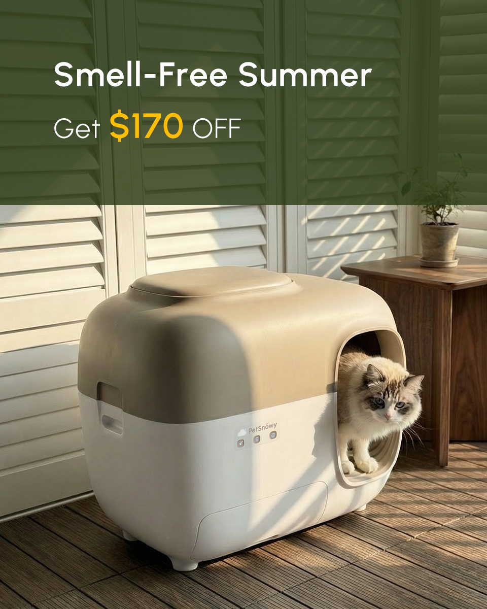 PetSnowy Facebook ad