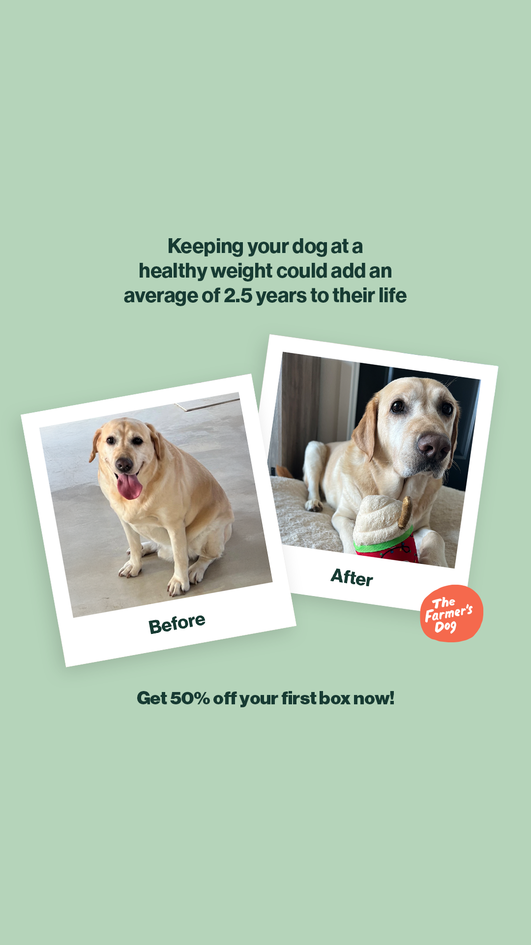 The Farmer's Dog Facebook ad