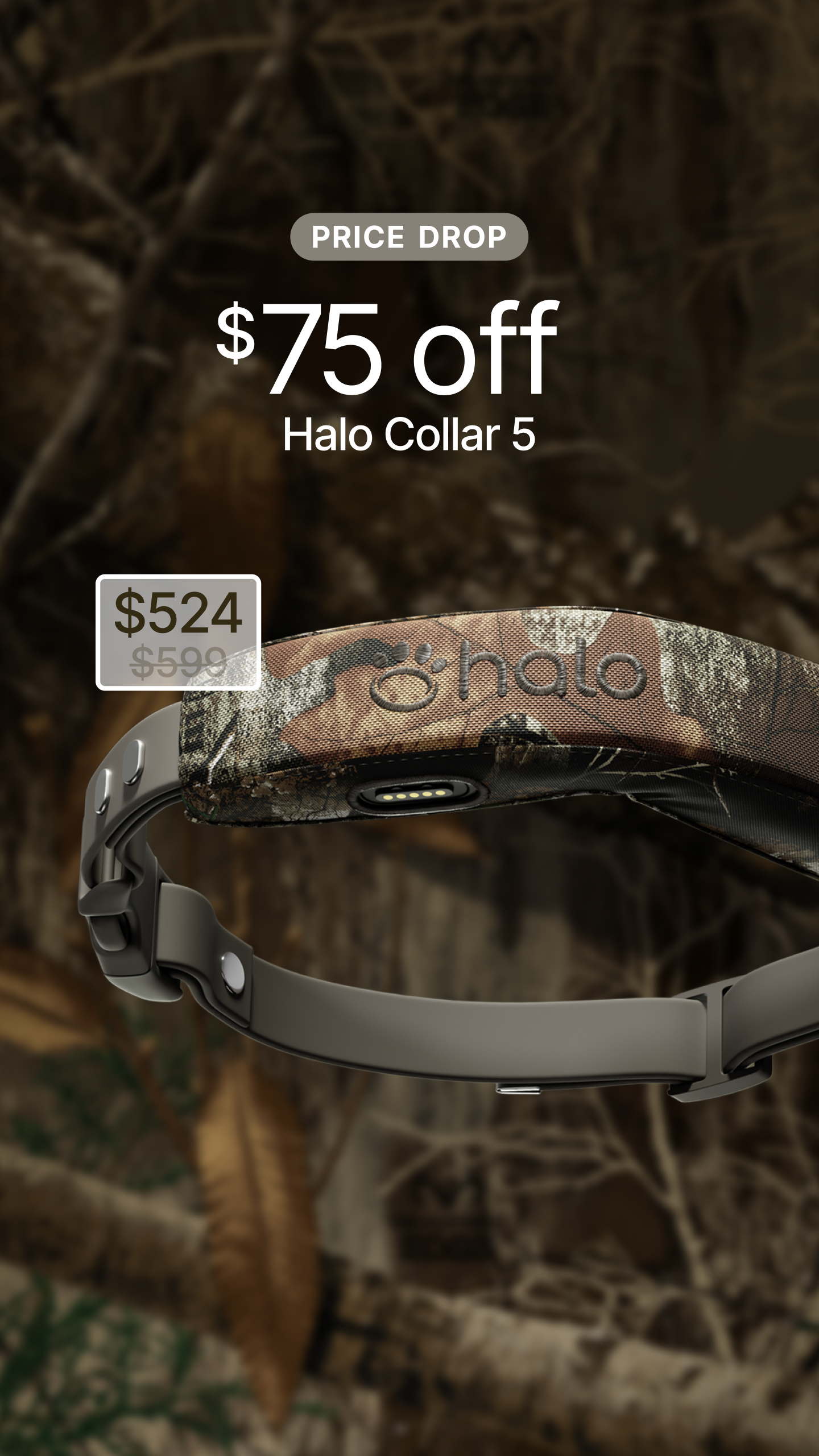 Halo Collar Facebook ad