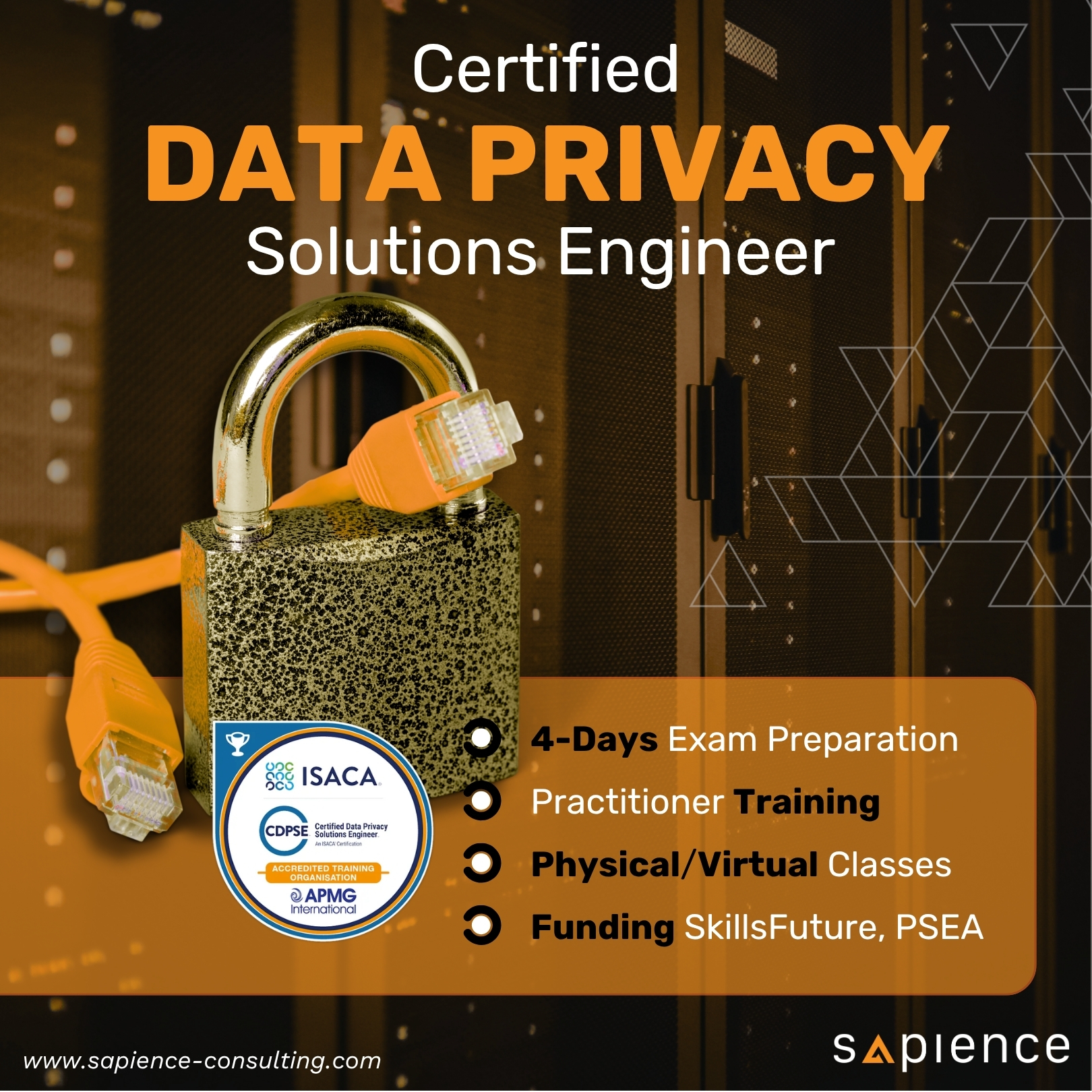 Sapience Consulting Facebook ad