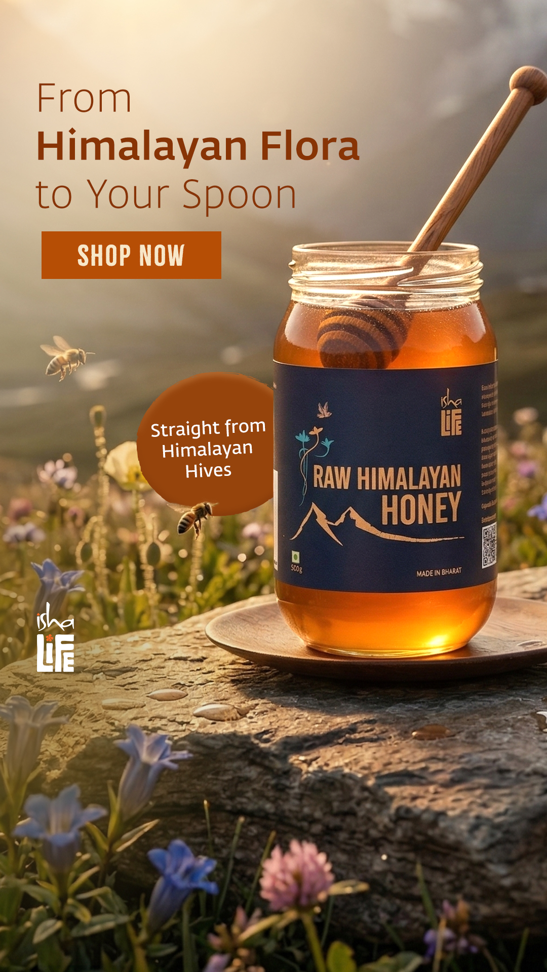 Isha Life Facebook ad