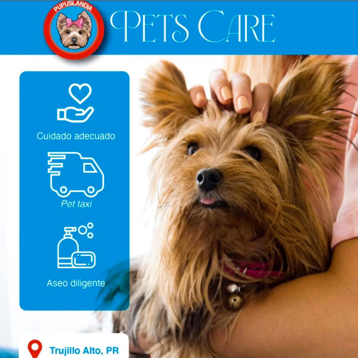 Pupuslándia Pets Accessories and More Facebook ad