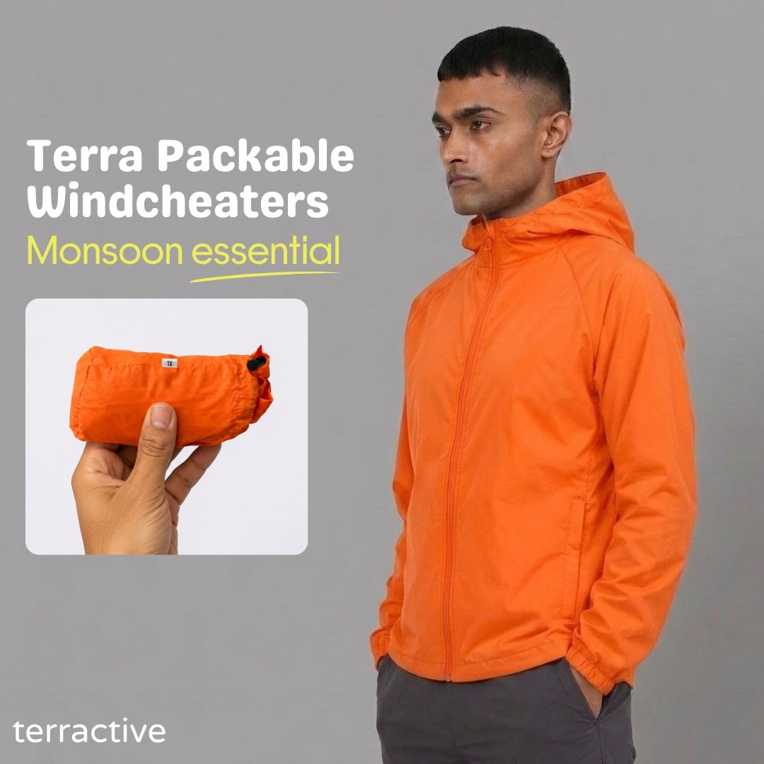 Terractive Facebook ad