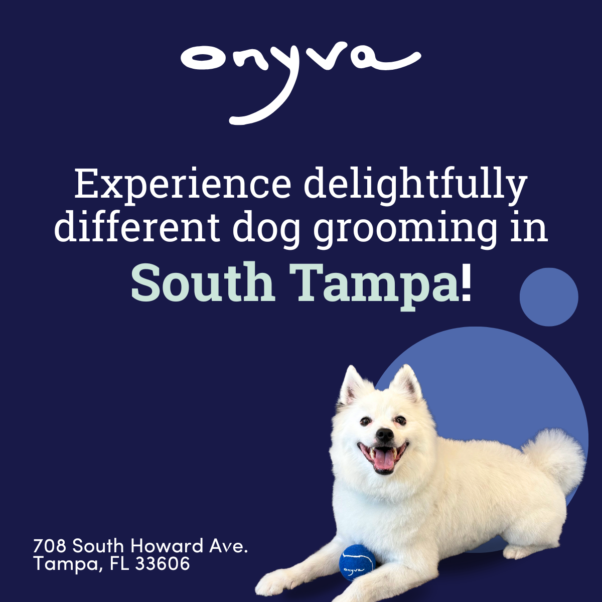 ONYVA South Tampa Facebook ad