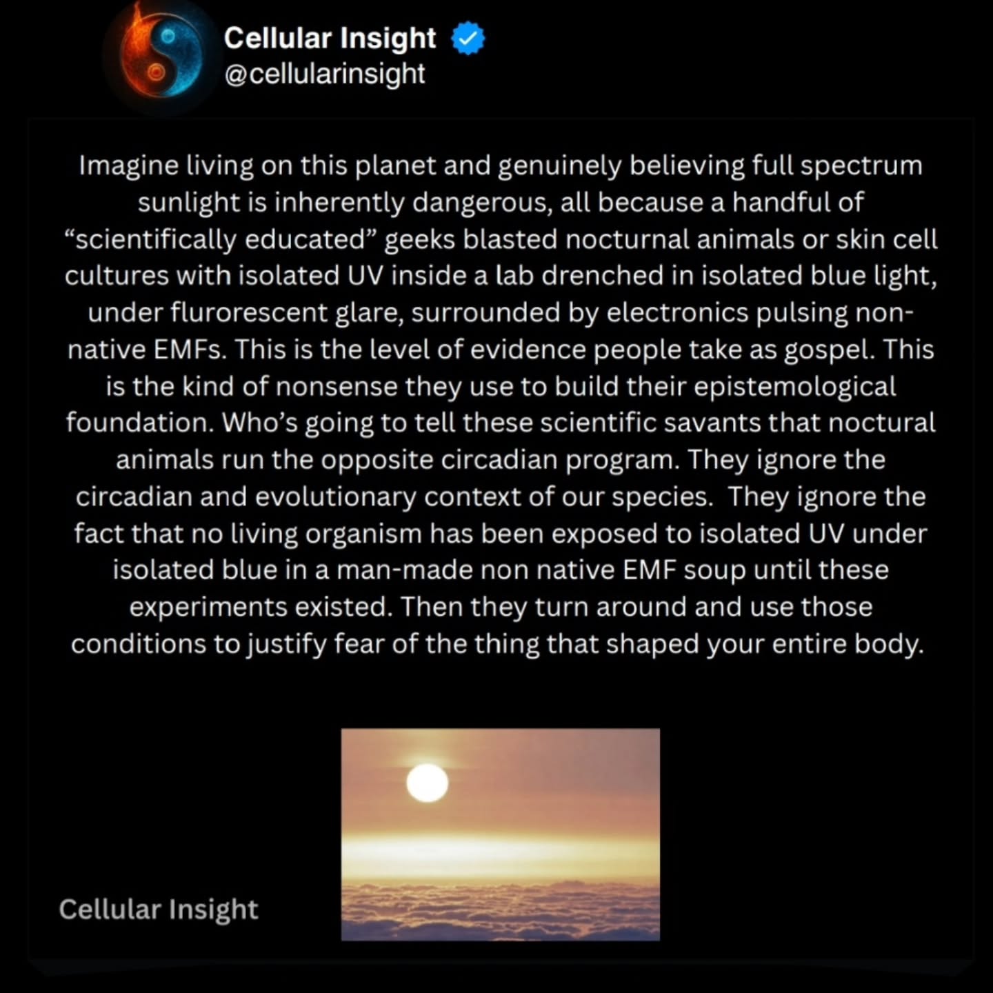 cellularinsight Facebook ad