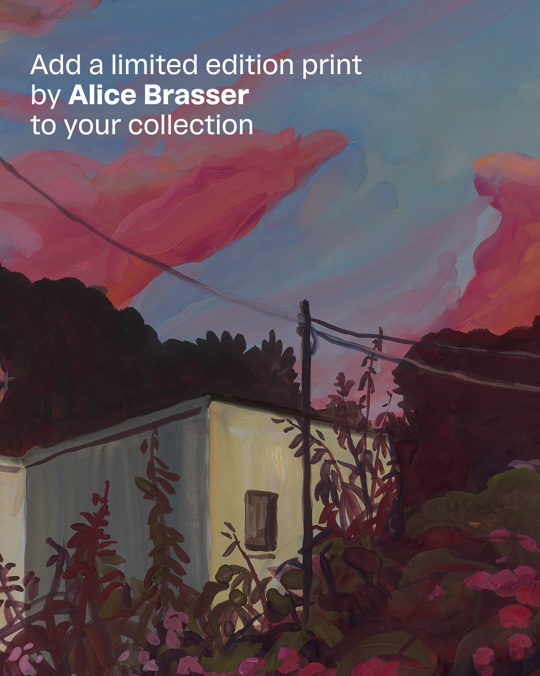 alicebrasser Facebook ad
