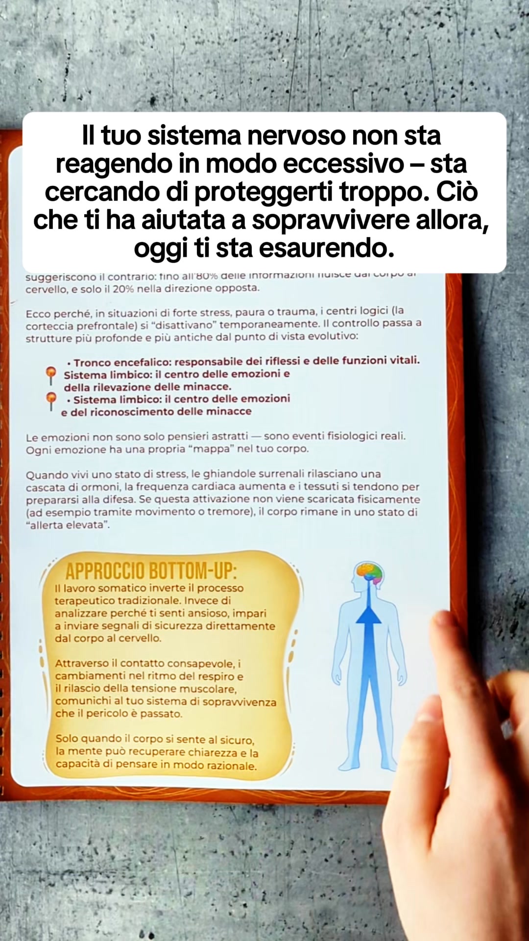 Harmonis. Facebook ad: Workbook di Terapia Somatica