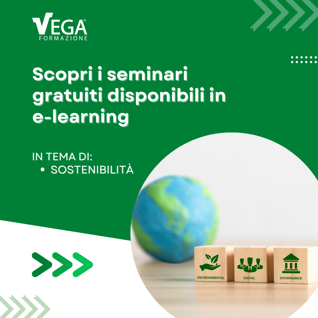 Vega Formazione Facebook ad