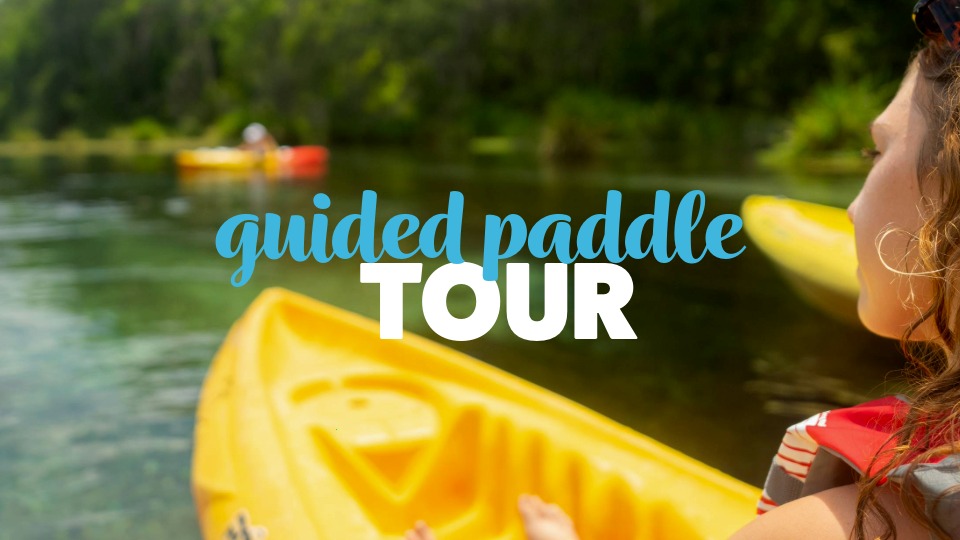 Ichetucknee Springs State Park Facebook ad: Guided Ichetucknee River Paddle Tour!