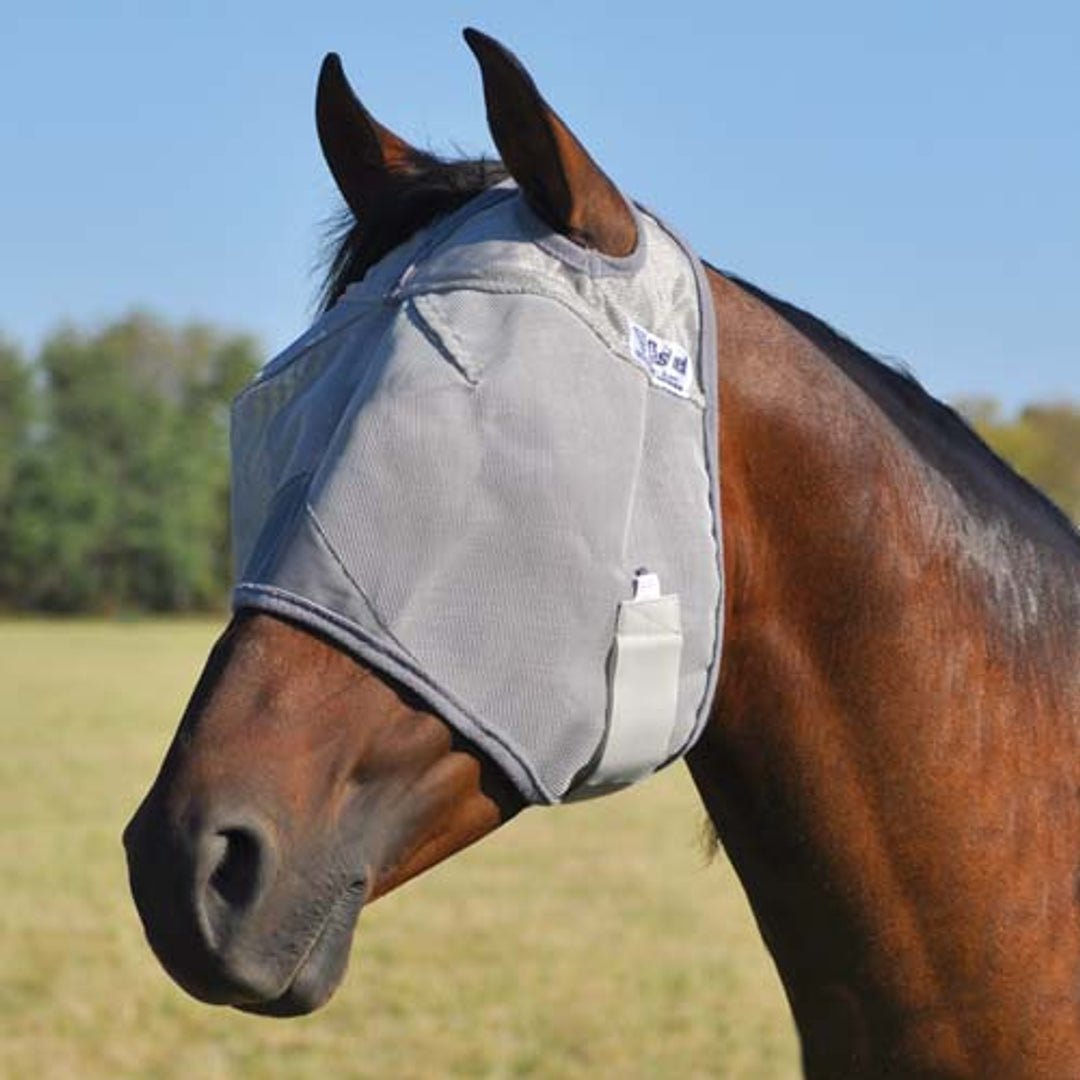 Coolhorse Facebook ad