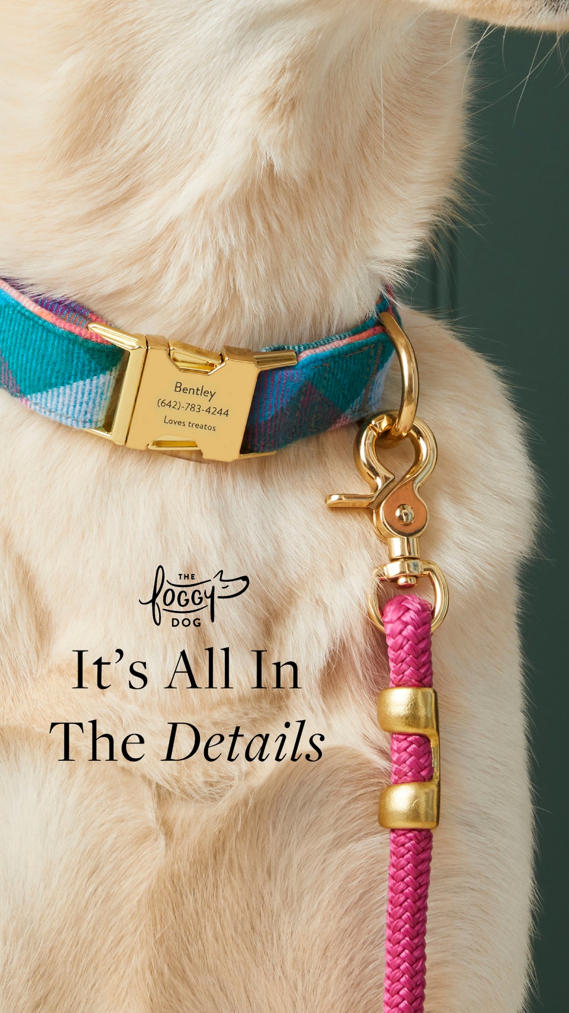The Foggy Dog Facebook ad