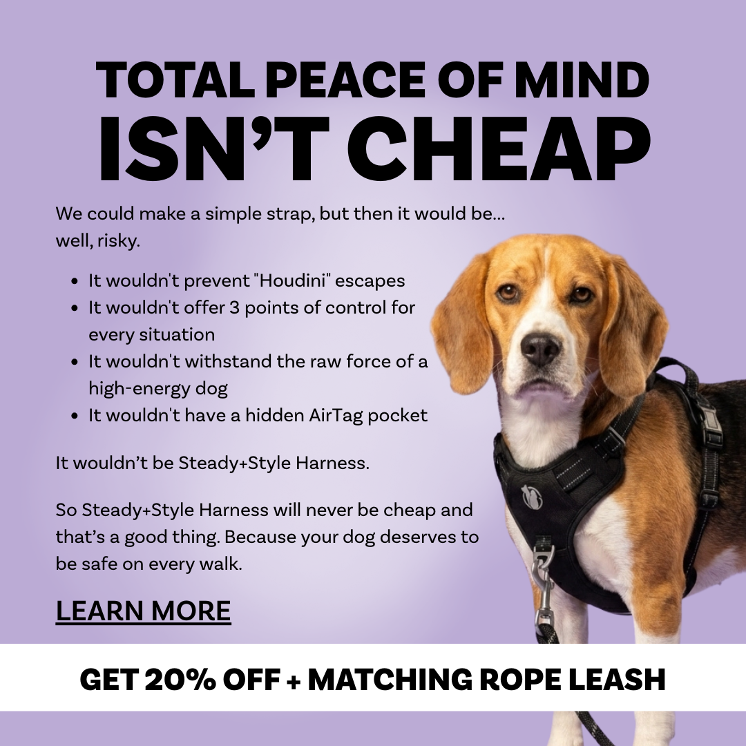 PawSafe Facebook ad
