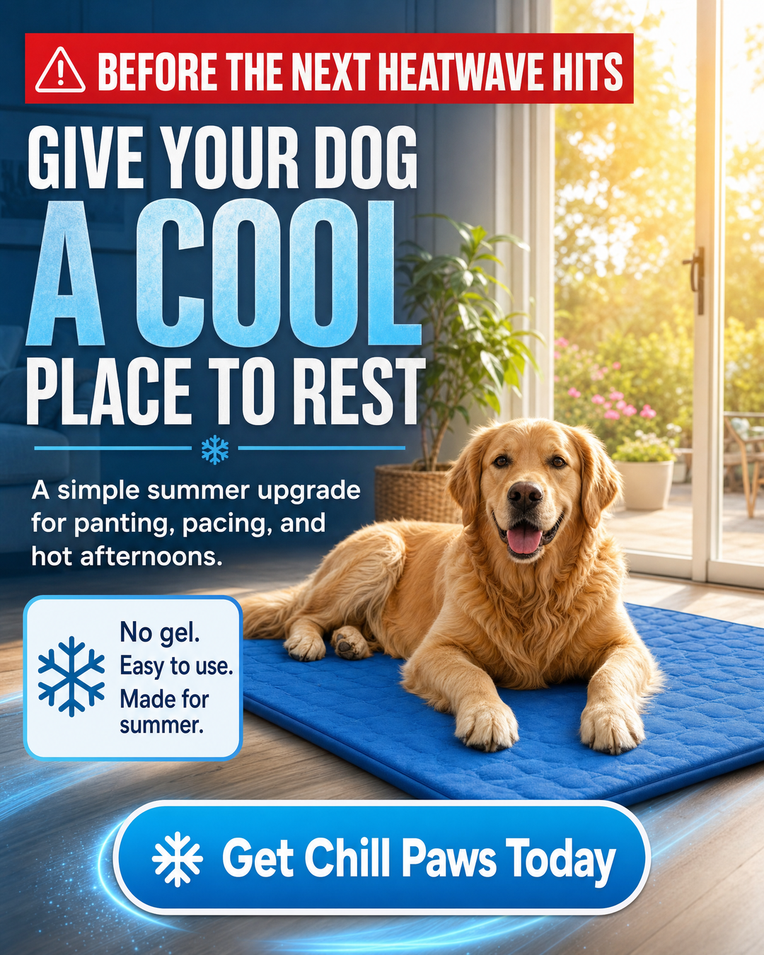 Rhykin Pet Co Facebook ad