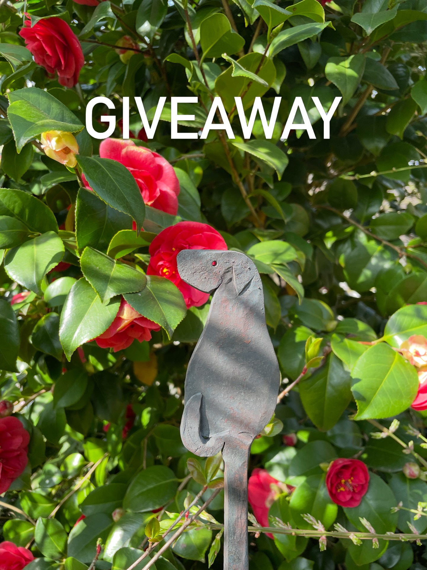 Stratmann form Facebook ad: GIVEAWAY