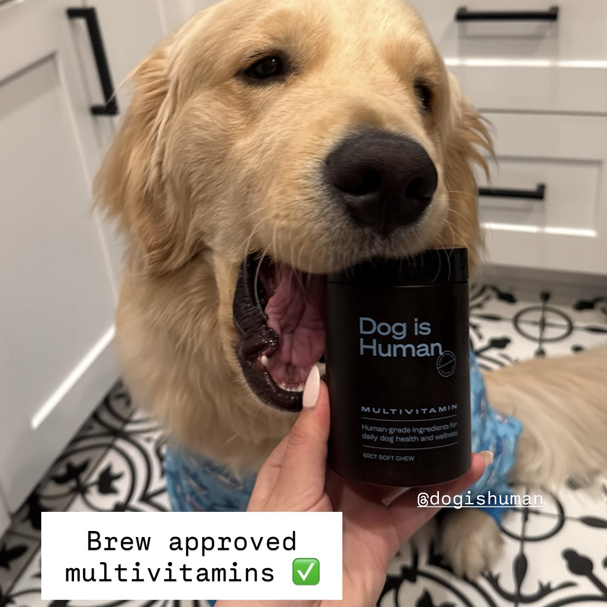 Dog is Human Facebook ad