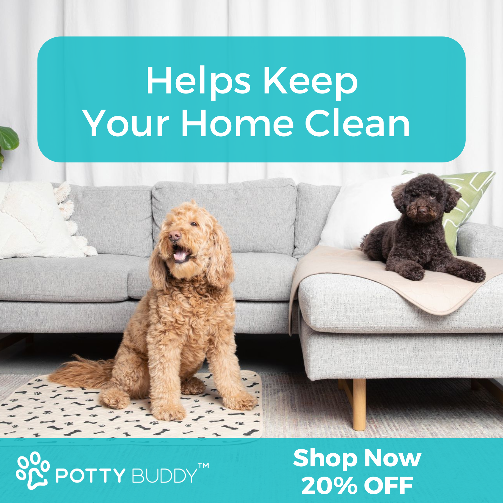 Potty Buddy Facebook ad