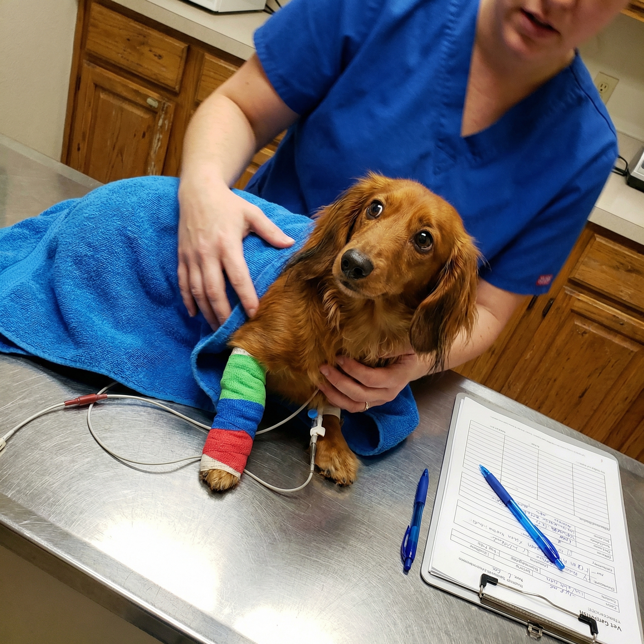 Emma & Her Doxie Facebook ad