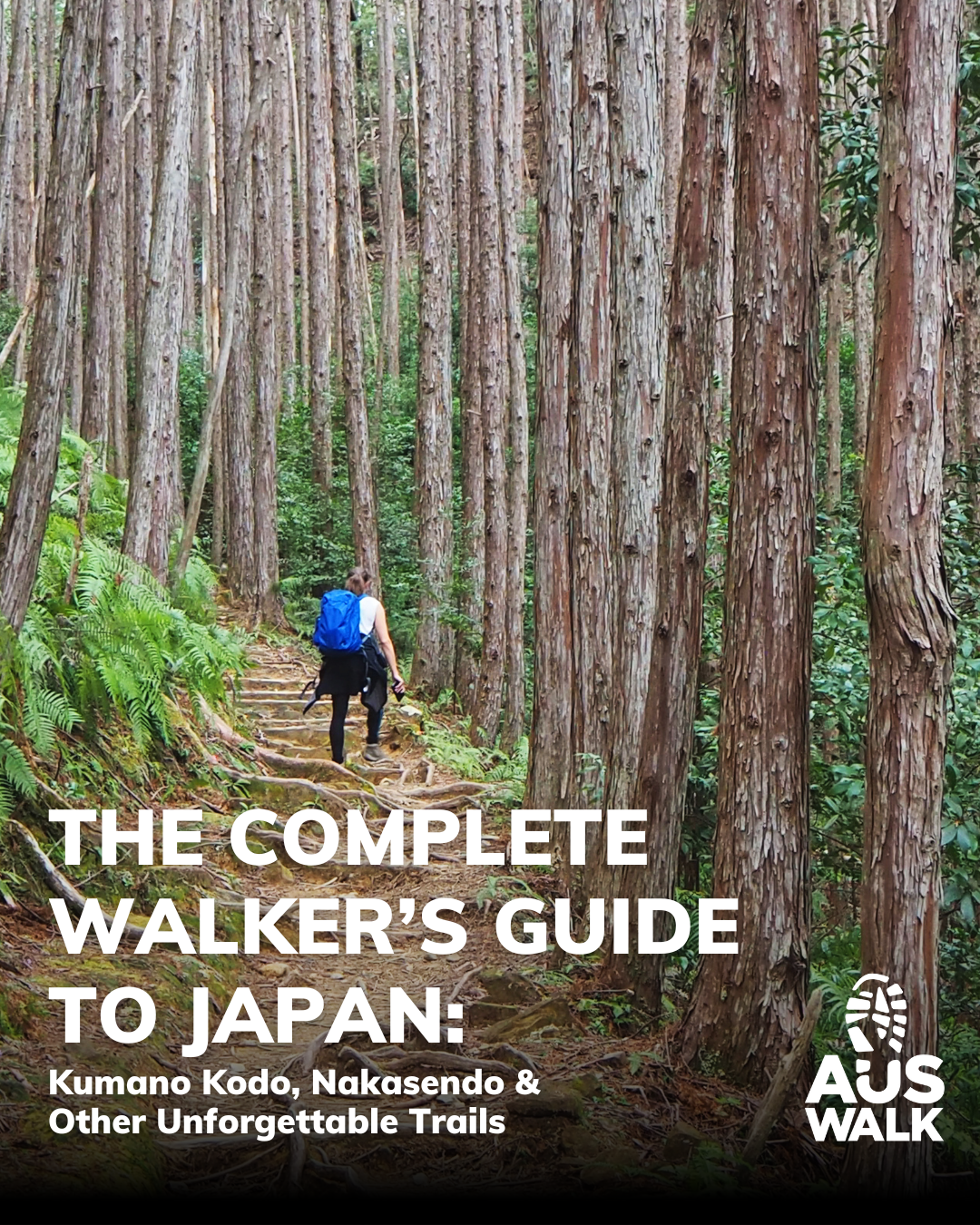 Auswalk Walking Holidays Facebook ad