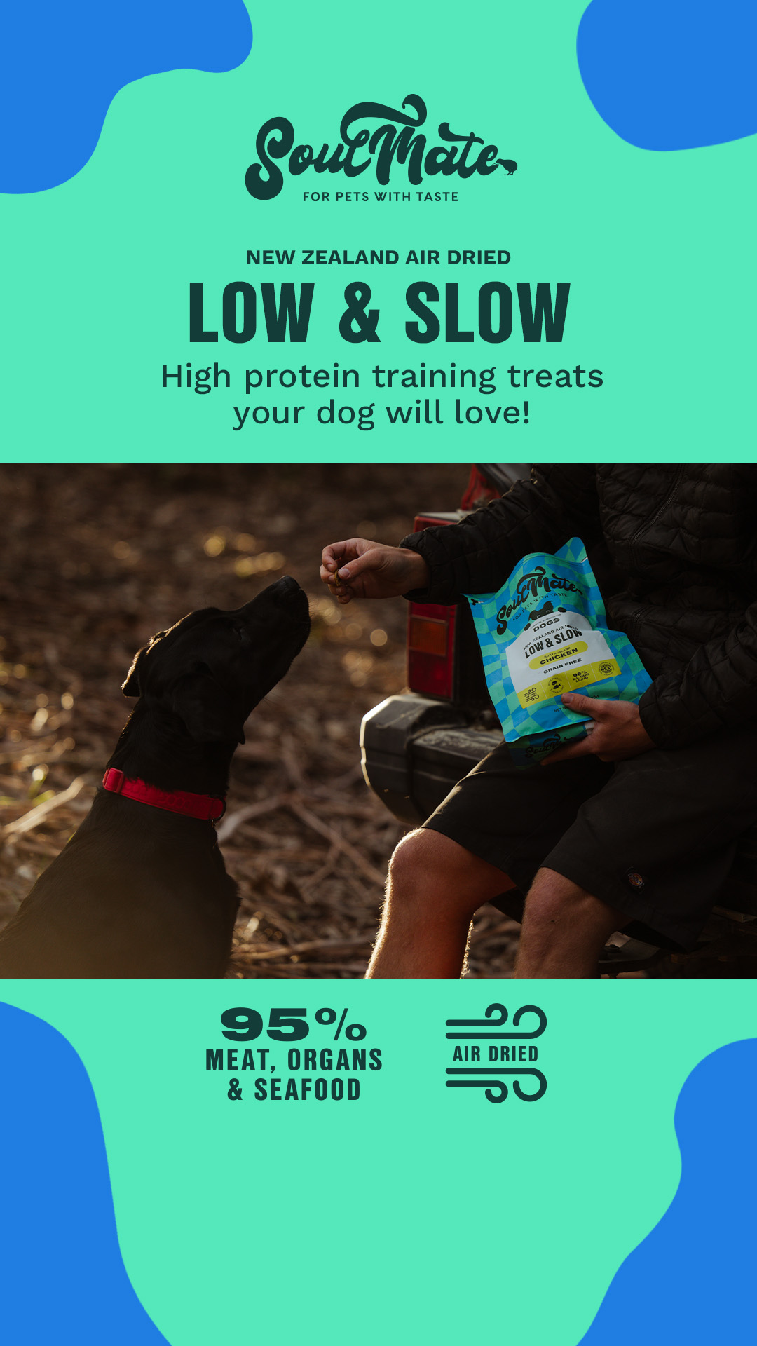 Petstock Facebook ad