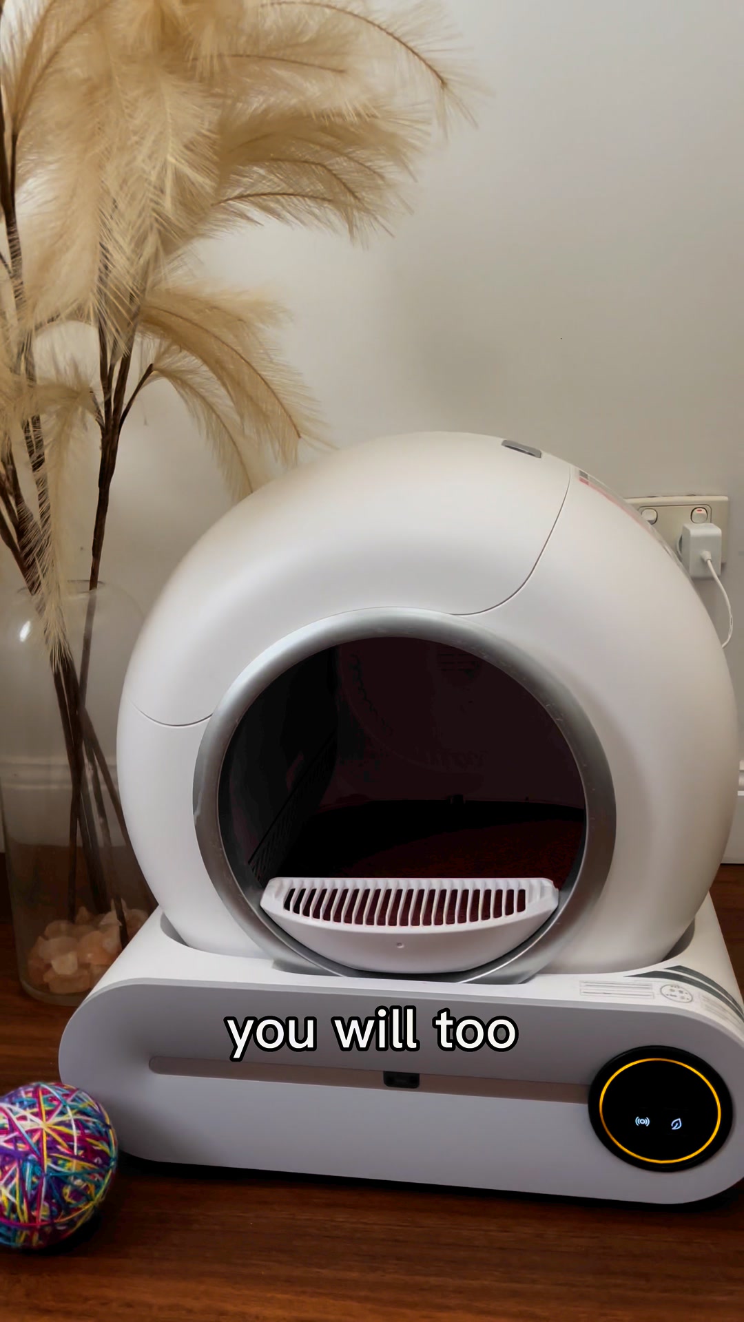 Purr-Pod Facebook ad from Jun 8, 2026