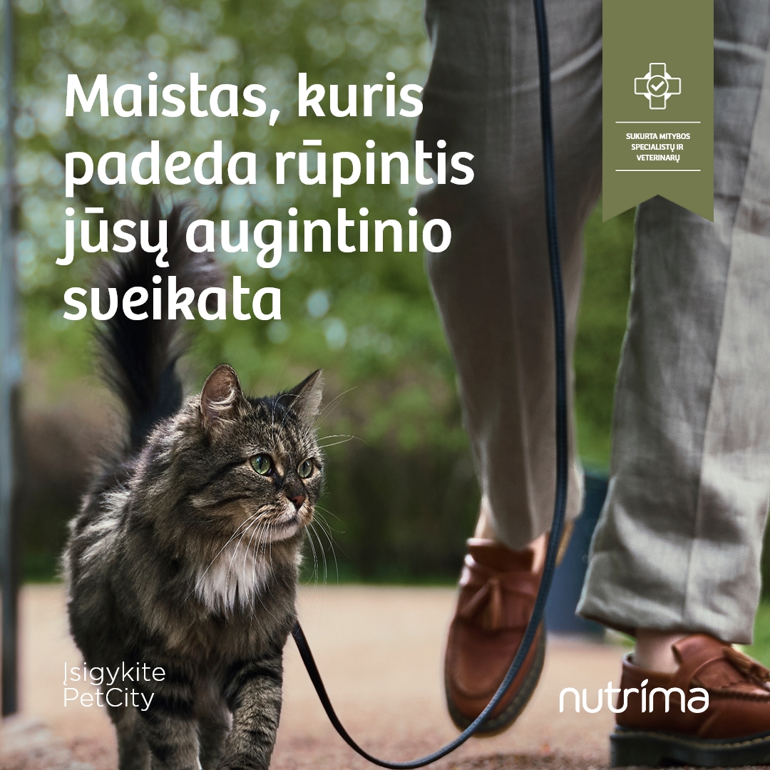 PetCity Lietuva Facebook ad