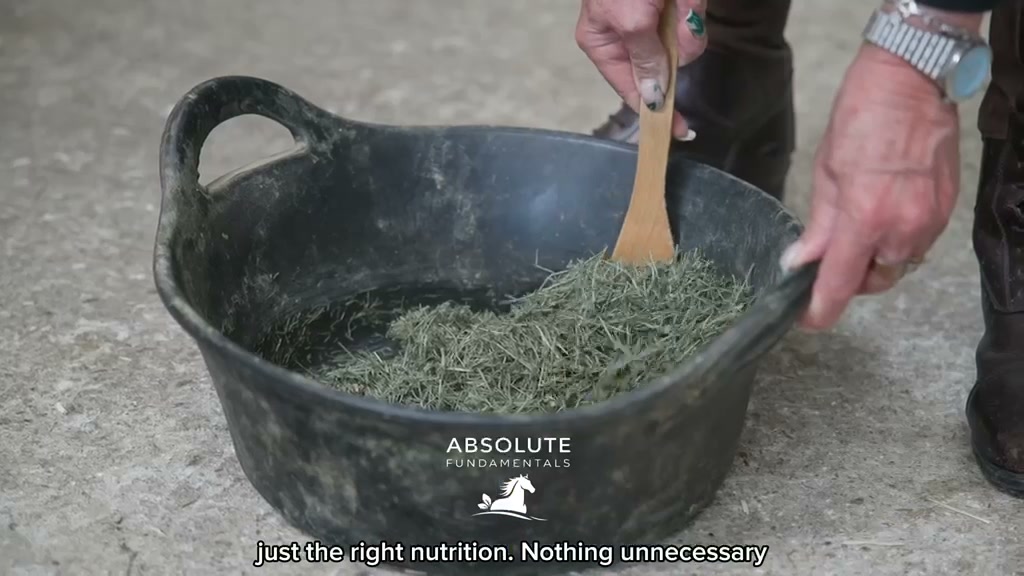 Absolute Equestrian Collective Facebook ad: Supporting the Whole Horse