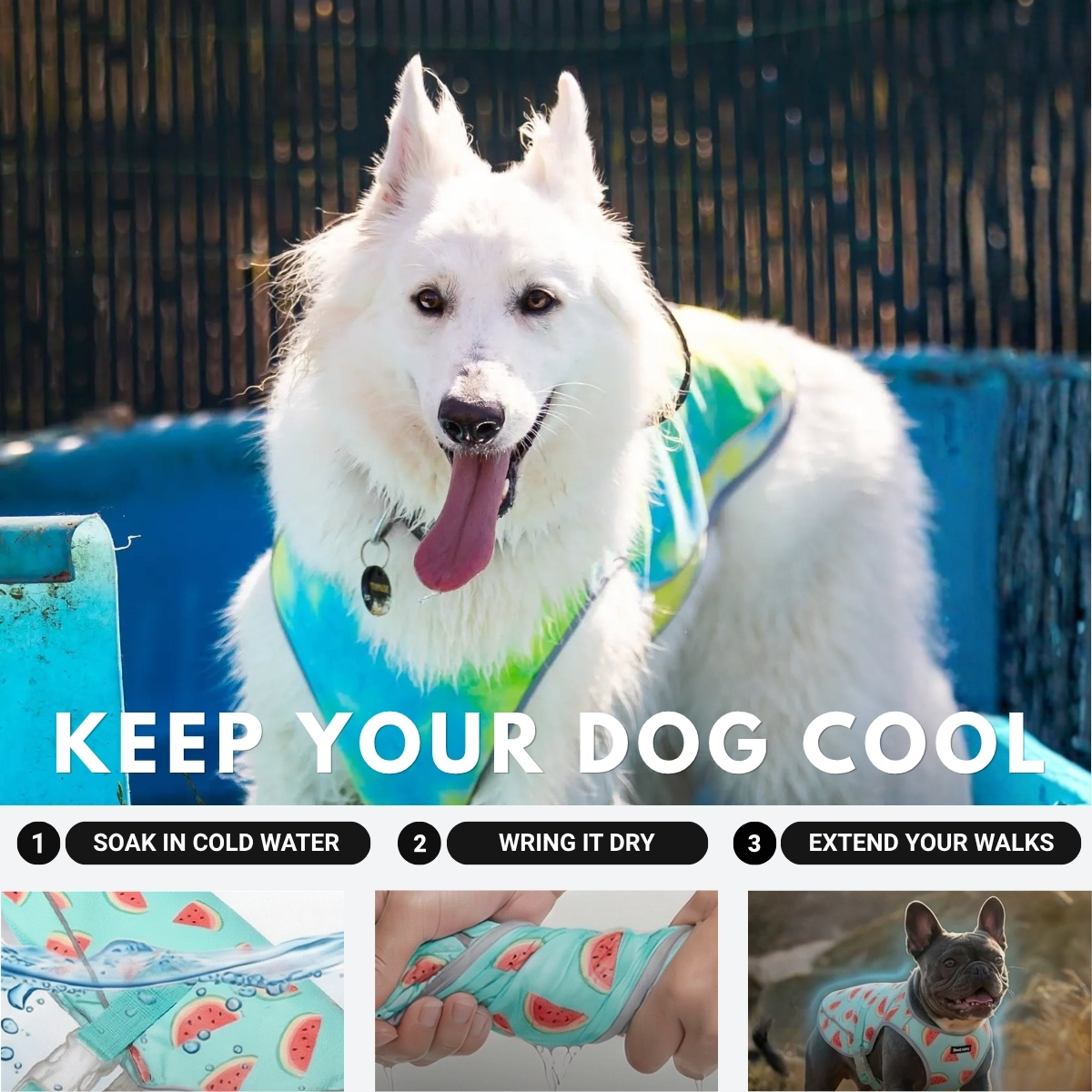 Spark Paws Facebook ad