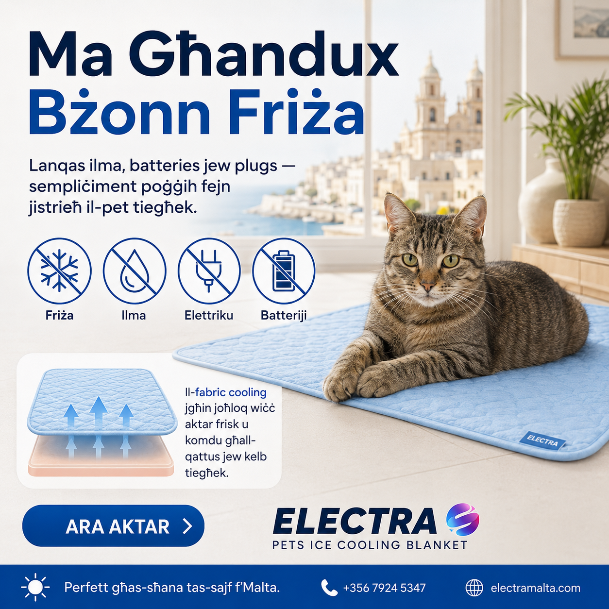 Electra Facebook ad