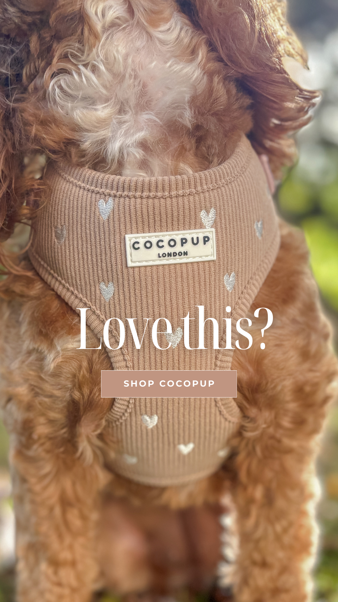 Cocopupuk Facebook ad