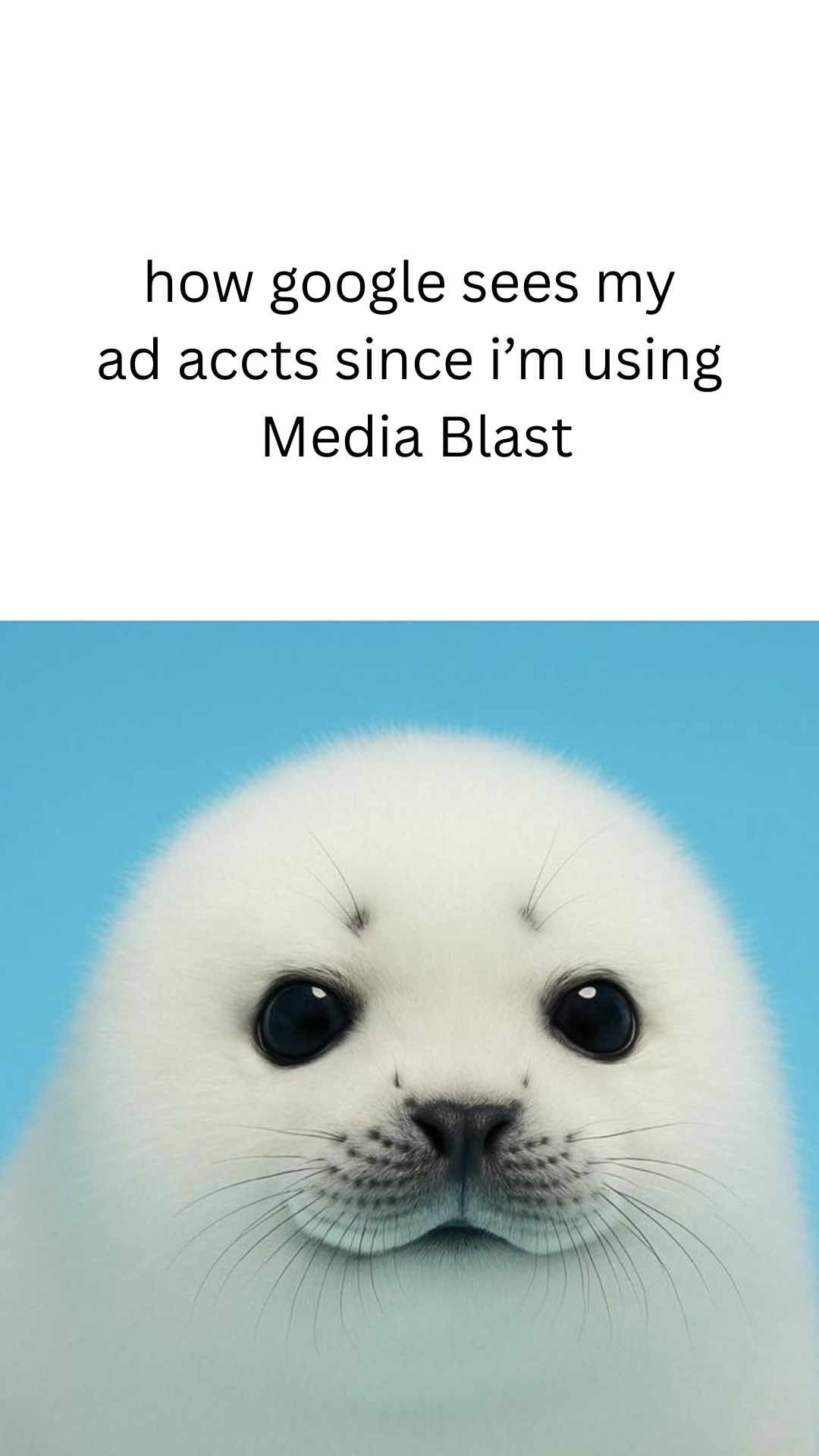Media Blast Facebook ad from Feb 11, 2026
